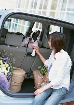 【車買取・車査定の専門】地域密着＆高速対応！ティーバイティーガレージの車売却サポート完全ガイド